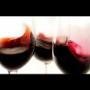 Caffè Italia La Corte del Vino