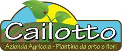 Cailotto Antonio