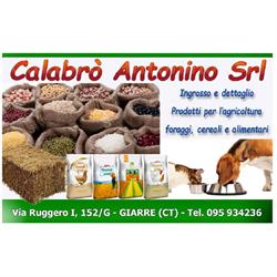 Calabro' Antonino