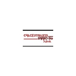 Calcestruzzi Lario 80 Spa