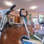 Gallery Professionale