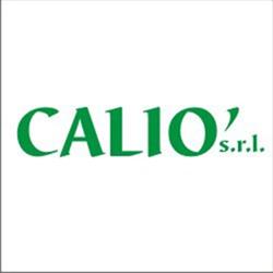 Autoricambi Calio'