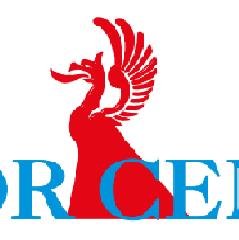 CALOR CENTER S.R.L.