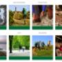 Gallery Cliente