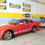 Gallery Cliente