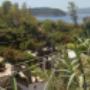 Immerso nel Verde Camping Ciraccio