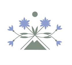 Camping Aiguille Noire
