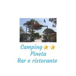 Camping Pineta (Srl)