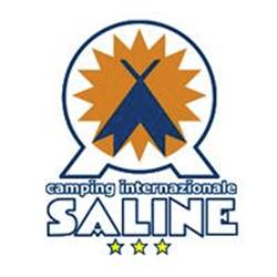 Camping Saline