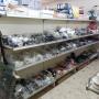 Gallery Professionale