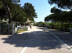 Camping Zadina Di Carla Pezzi & C. (S.n.c.)