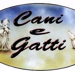 Cani E Gatti