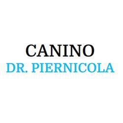 Dr. Piernicola Canino Psicologo Psicoterapeuta