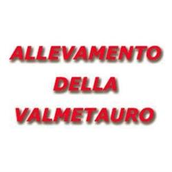 Allevamento Valmetauro - Canile Stella Polare