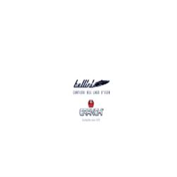 Bellini Nautica