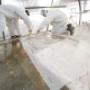Gallery Professionale