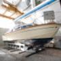 Gallery Professionale