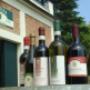 I nostri vini del Monferrato