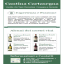 Flyer Cantina Cartasegna