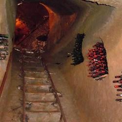 Cantina Foresi Di Antonio Foresi -s.n.c.