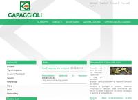 Sito di Capaccioli SRL
