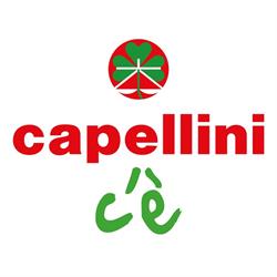Capellini Design Di Capellini Marco Architetto