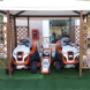 Gallery Cliente