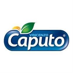Caputo Vincenzo Srl