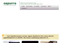 Capurro Forniture Grafiche SRL
