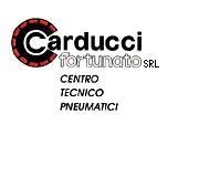 Carducci Fortunato SRL
