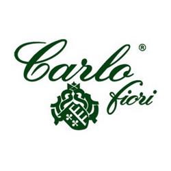 Carlo Fiori Di Pirollo Stefano e Andrea (S.a.s.)