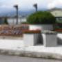 Carollo Fiori