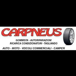 Carpneus S.a.s Di Ortolani Della Nave Dario e C.
