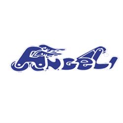 Carrozzeria Angeli