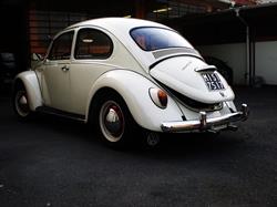 Carrozzeria Gandino SNC