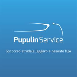 Pupulin Service
