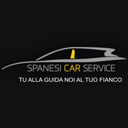 CARROZZERIA SPANESI SRL Renault-Dacia