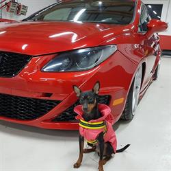 Autocarrozzeria Passione Auto