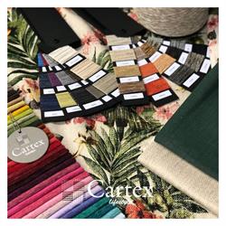 Cartex Italia (Srl)