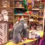 Gallery Cliente