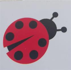 Cartolibreria Coccinella SAS Di Marina Lepore & C.