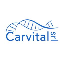 Carvital (Srl)