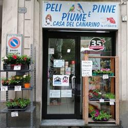 Casa Del Canarino