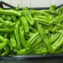PEPERONCINI VERDI