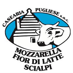 Casearia Pugliese (s.n.c.)