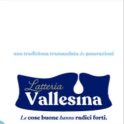 Latteria la vallesina srls