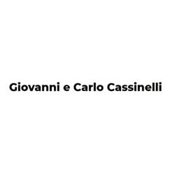 Impresa Cassinelli Franco & C S.n.c