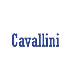 Autofficina Cavallini Enzo
