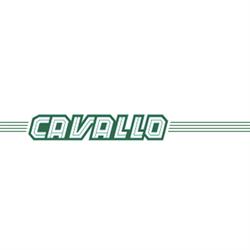 Autotrasporti Cavallo Giordano e Vallauri spa