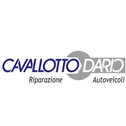Cavallotto Dario